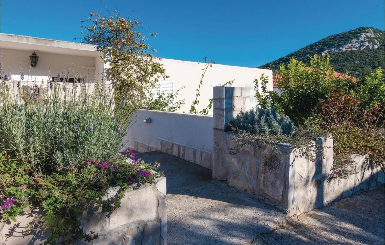 Gorgeous Apartment In Dubrava With Kitchen Exterior photo
